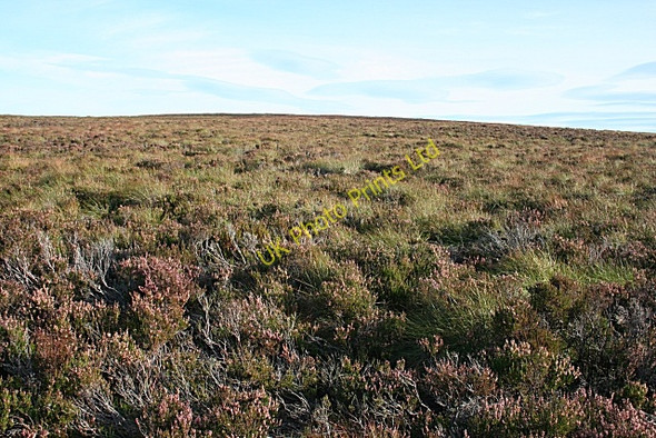 Photo 6"x4" Bracken Noits Bracken Noits c2007