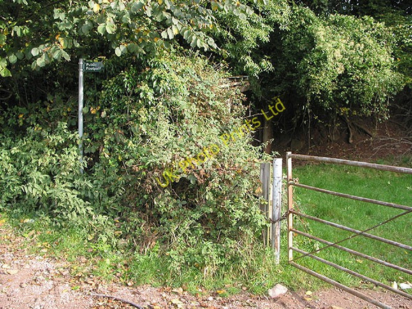 Photo 6"x4" Footpath near Boxbush Boxbush\/SO6720 c2007
