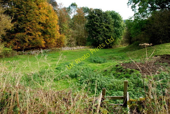 Photo 6"x4" The edge of the wood  near Hassop Hassop c2007