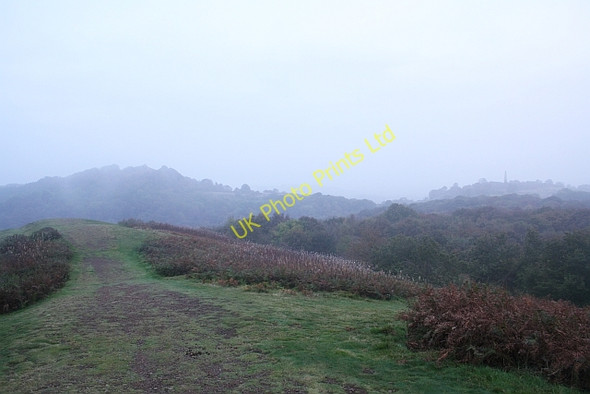 Photo 6"x4" Early Morning on Swinyard Hill Chandler's Cross\/SO7738 c2007