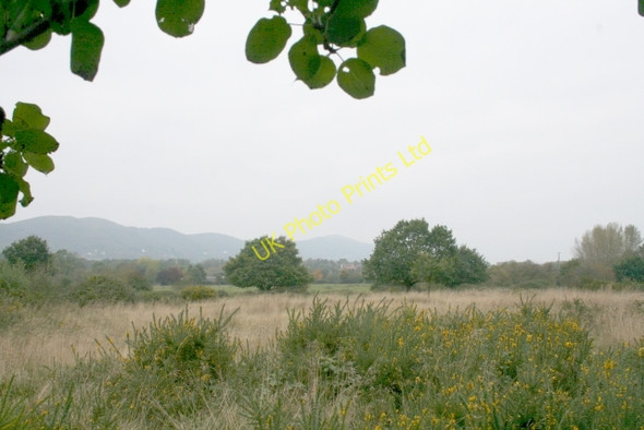 Photo 6"x4" Castlemorton Common Marl Bank c2007