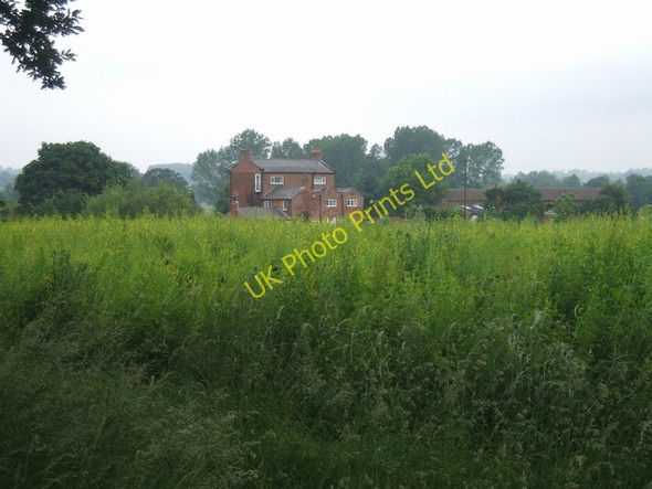 Photo 6"x4" Across a green field Apeton c2007
