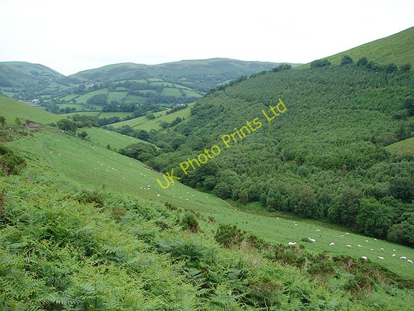 Photo 6"x4" Cwm Nant Heli Bont Dolgadfan c2007