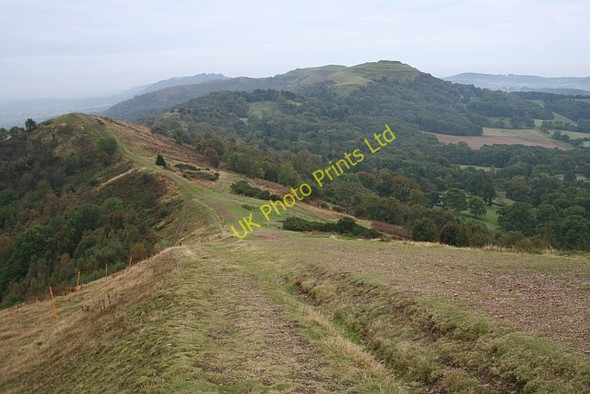 Photo 6"x4" South of Pinnacle Hill Brand Green\/SO7641 c2007