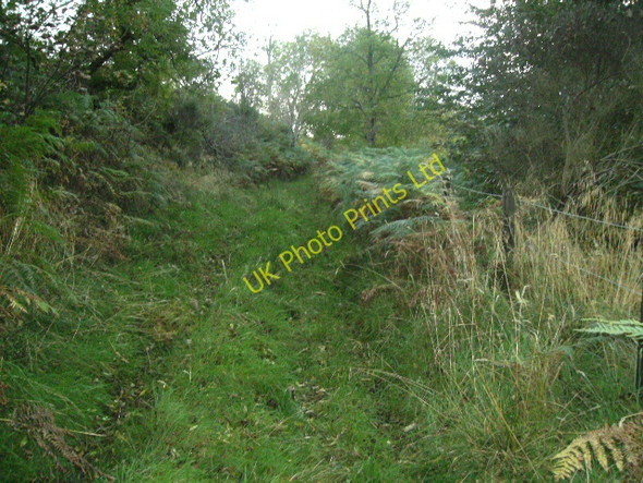 Photo 6"x4" An Overgrown Track Moor of Granary c2007