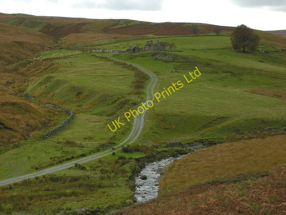 Photo 6"x4" Lluest Abercaethon Nant Cletwr c2007