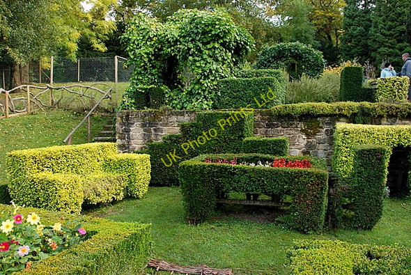 Photo 6"x4" Topiary in Chatsworth garden Edensor c2007