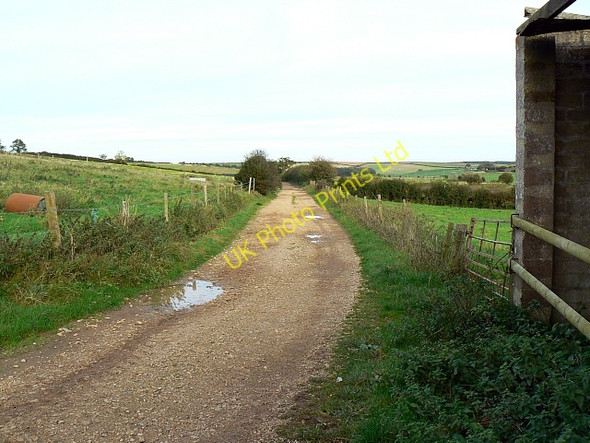 Photo 6"x4" Farm track, Roger's Hill Farm, near Bere Regis Bere Regis c2007