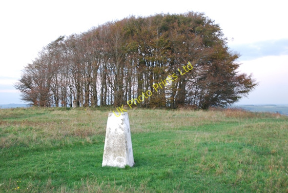 Photo 6"x4" Trig Point at Win Green Ferne c2007