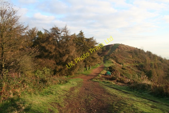 Photo 6"x4" Fir Trees on Thirds Land and Jubilee Hill Brand Green\/SO7641 c2007