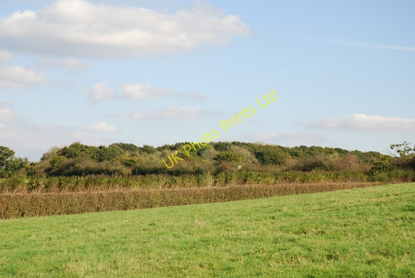 Photo 6"x4" View of King's Court Wood Gillingham\/ST8026 c2007