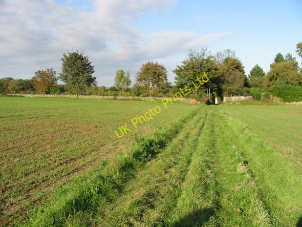 Photo 6"x4" Looking NE along the footpath to Tilmanstone Tilmanstone c2007