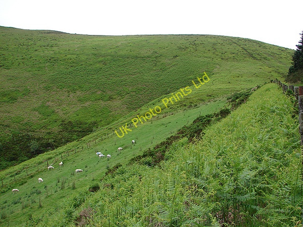 Photo 6"x4" Bwlch Glynmynydd Bont Dolgadfan c2007