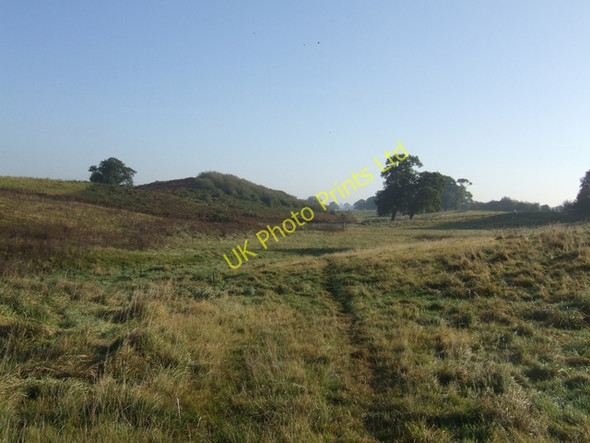 Photo 6"x4" Footpath to Pollymoor Farm Cotonwood\/SJ8020 c2007