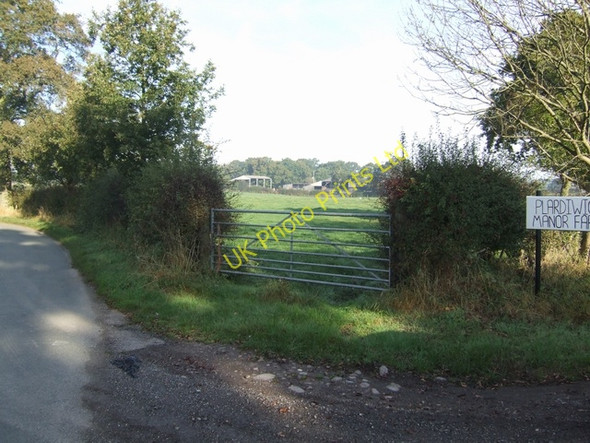 Photo 6"x4" Dairy pasture, Plardiwick Manor Farm Coton\/SJ8120 c2007