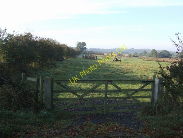 Photo 6"x4" Not a footpath Cotonwood\/SJ8020 c2007