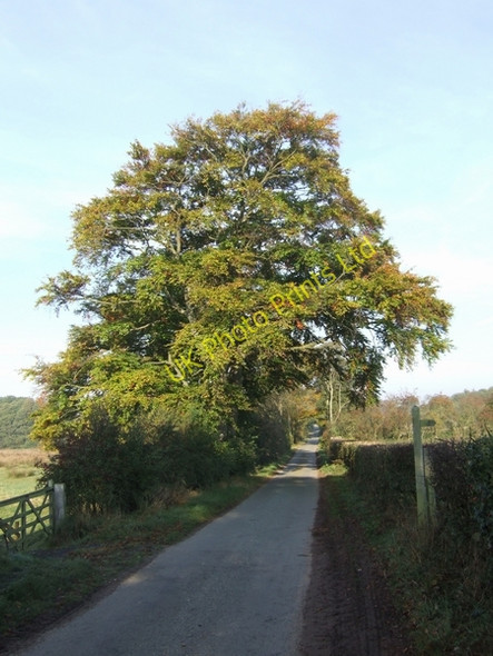 Photo 6"x4" Northwest along the Roman Road Cotonwood\/SJ8020 c2007