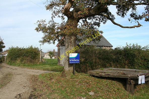 Photo 6"x4" Shebbear: East Pennicknold Caute c2007