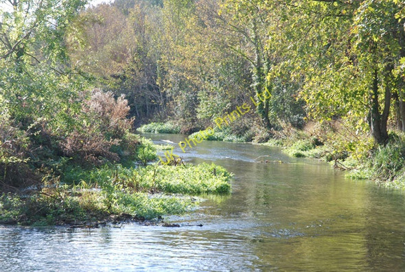 Photo 6"x4" River Allen in the Crichel Estate New Town\/ST9907 c2007