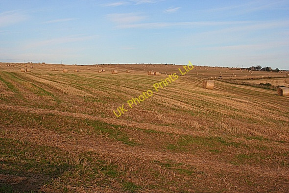 Photo 6"x4" Hill of Sauchenbush Longmanhill c2007