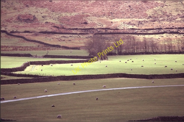 Photo 6"x4" By the Road to Stool End Farm, Great Langdale Little Langdale c2006