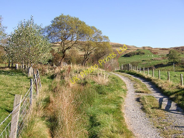 Photo 6"x4" Track to Nant-y-nod Cwm Ceulan c2007