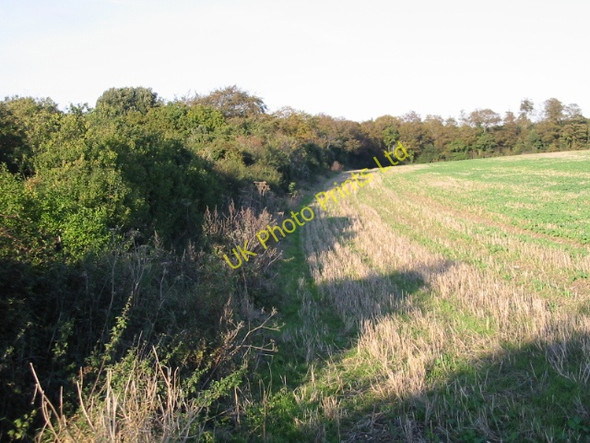 Photo 6"x4" Field boundary with byway Elvington\/TR2750 c2007