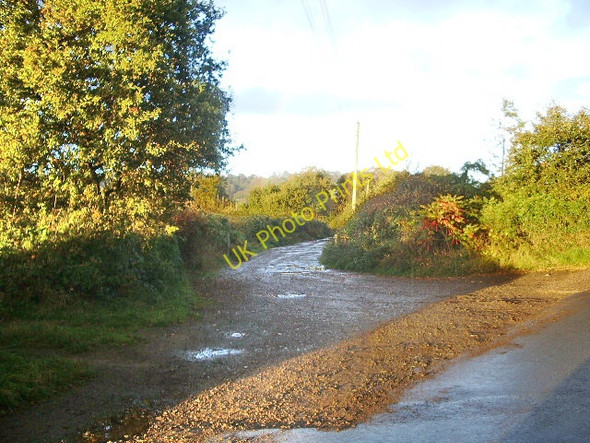 Photo 6"x4" Road to Hermitage Farm Booleybank c2007