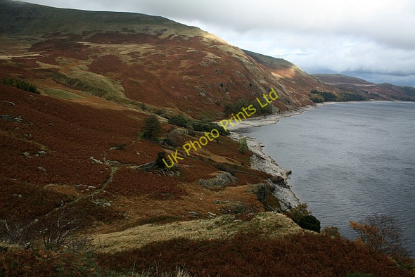 Photo 6"x4" Haweswater West Bank Guerness Wood c2007