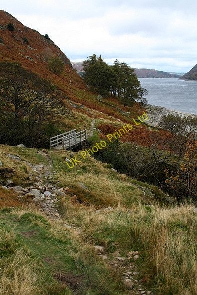 Photo 6"x4" Footbridge Over Whelter Beck Guerness Wood c2007