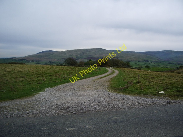 Photo 6"x4" Road to Brownrigg  Farm Whelpo c2007