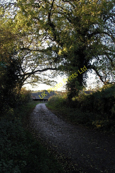 Photo 6"x4" The Lane to Boyah Grange Dale Moor c2007