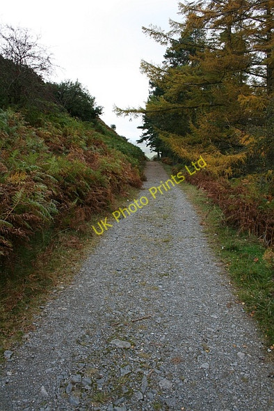 Photo 6"x4" Coast to Coast Path above Burnbanks Bampton\/NY5118 c2007