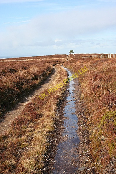 Photo 6"x4" Mannoch Road Moss of Birnie c2007