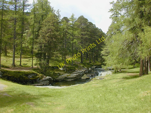 Photo 6"x4" Above the Linn of Quoich Allanaquoich c2000