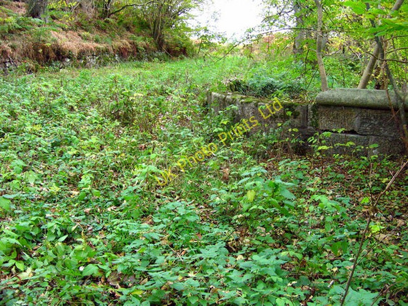 Photo 6"x4" Disused road Coalford c2007