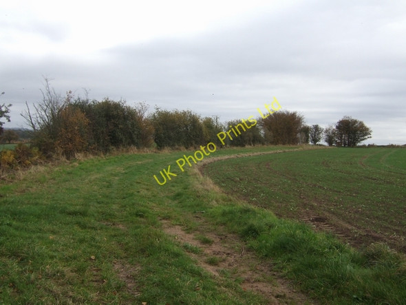 Photo 6"x4" Field boundary at Hall Farm Billingsley c2007