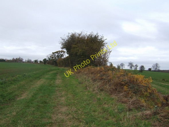 Photo 6"x4" Path to Deuxhill Billingsley c2007