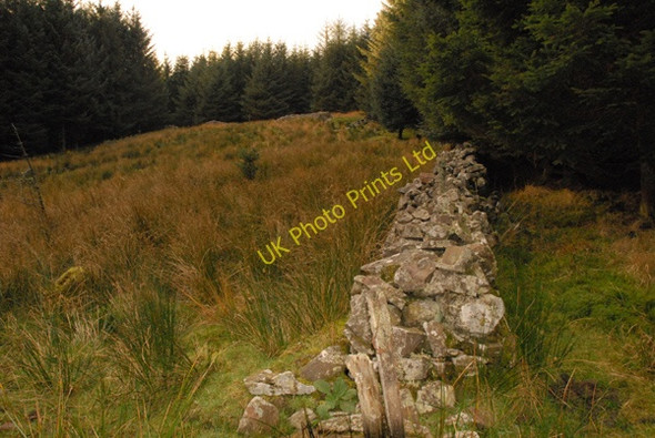 Photo 6"x4" Farmstead Ruin in Blaen Llia Ystradfellte c2007