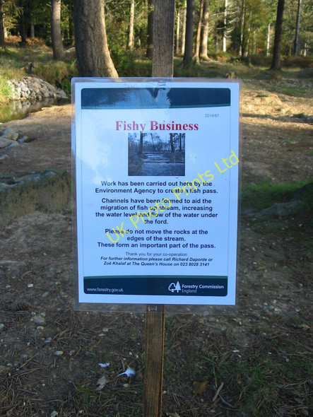 Photo 6"x4" Fishy business, North Oakley Inclosure, New Forest. North Oakley Inclosure c2007