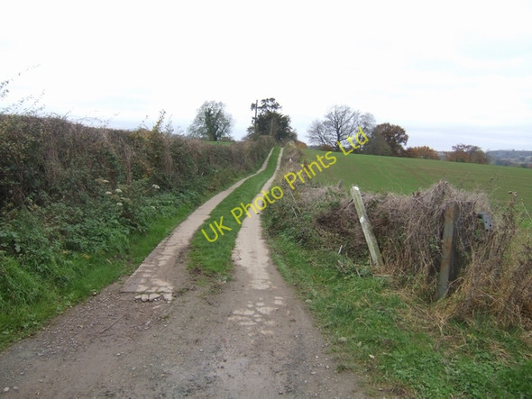 Photo 6"x4" Simon Evans Way Neen Savage c2007
