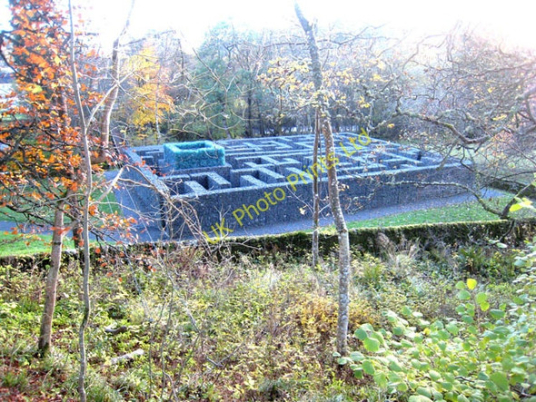 Photo 6"x4" The Minotaur Maze, Kielder Castle Butteryhaugh c2007