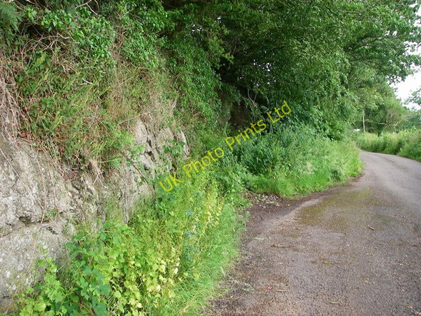 Photo 6"x4" Roadside rock cutting Llanarthne c2007