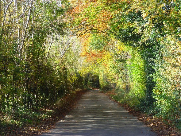 Photo 6"x4" Lane near Bockmer End Bockmer End c2007