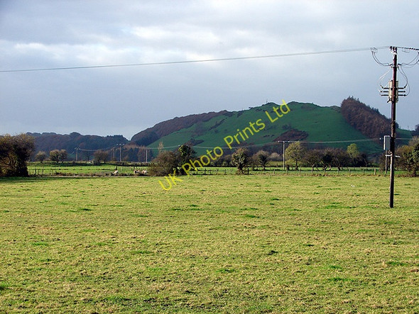 Photo 6"x4" Dyfi Valley Machynlleth c2007 P1