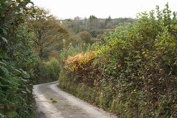 Photo 6"x4" High Bickington: lane near Shuteley Ebberly Hill c2007