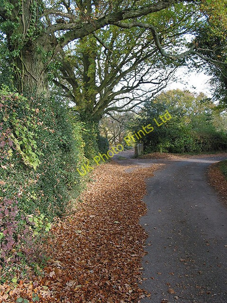 Photo 6"x4" Country road on the eastern fringe of Howle Hill Hope Mansell c2007
