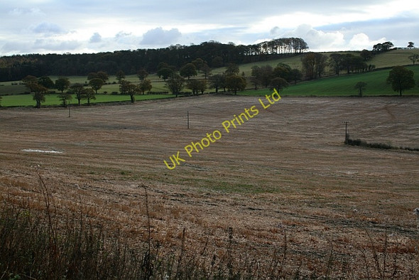 Photo 6"x4" Farmland Near High Weardley Weardley c2007