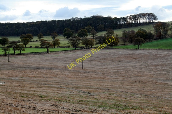 Photo 6"x4" Farmland Near High Weardley (2) Weardley c2007