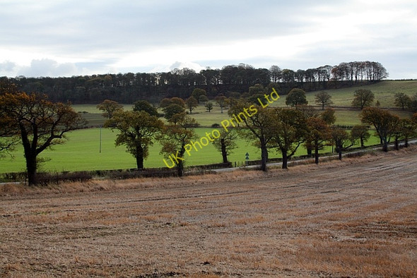 Photo 6"x4" Eccup Lane at High Weardley Weardley c2007